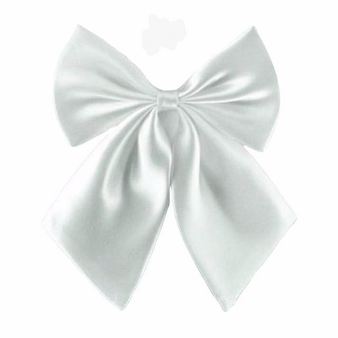 Women's Butterfly Cravat Silk Bow Tie