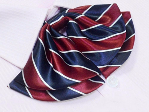School Girl Style Stripe Pattern Silk Bow Ties