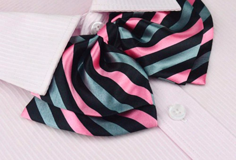 School Girl Style Stripe Pattern Silk Bow Ties