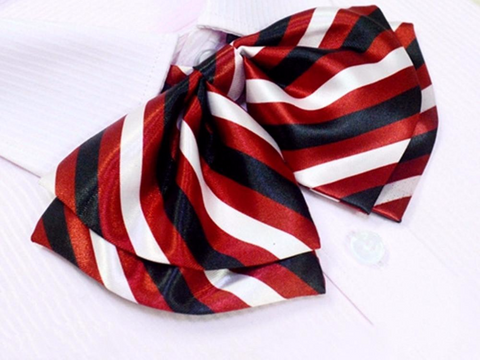 School Girl Style Stripe Pattern Silk Bow Ties
