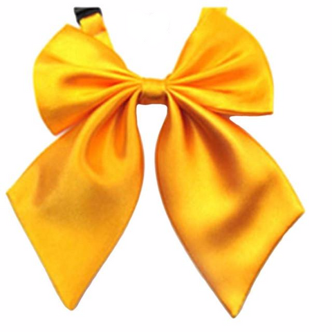 Women's Butterfly Cravat Silk Bow Tie